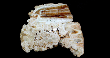 Myths and Facts About Rocks TPEO_2